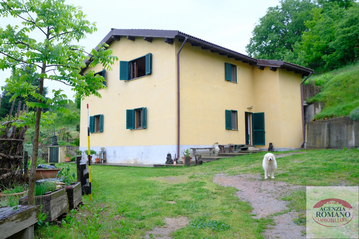 immagine annuncio 1 di 10