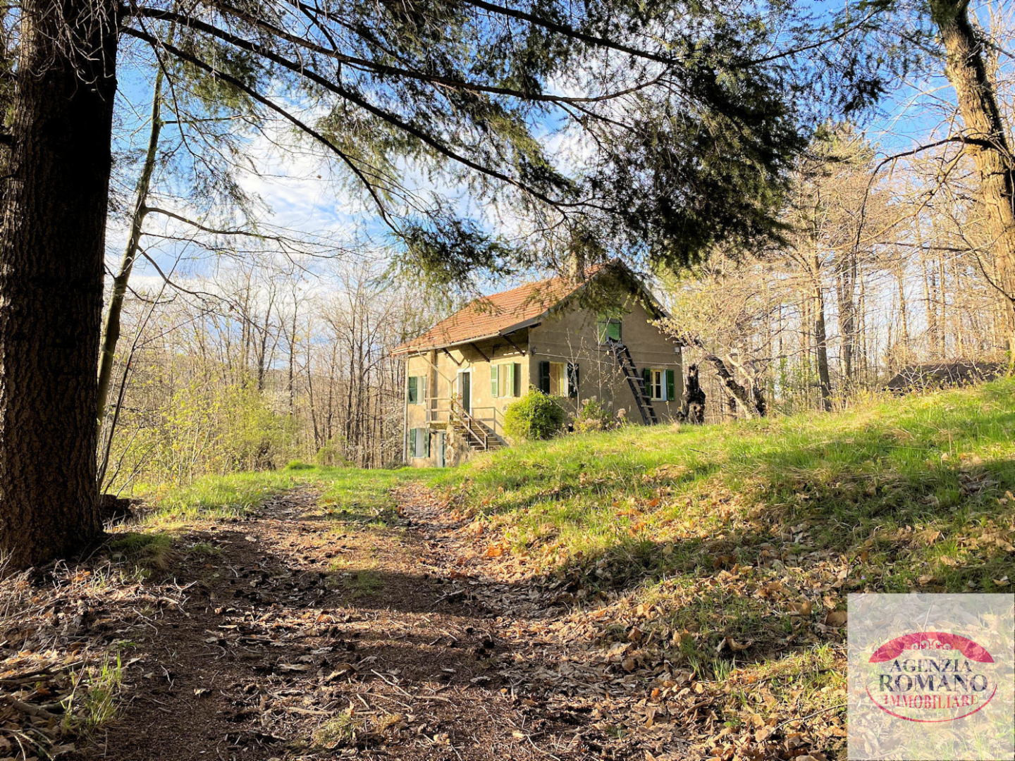 immagine annuncio 1 di 10