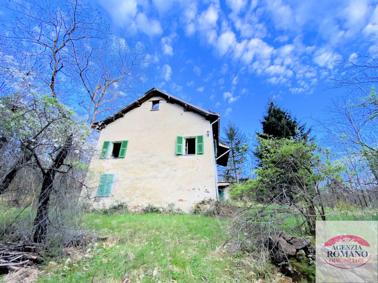 immagine annuncio 3 di 10