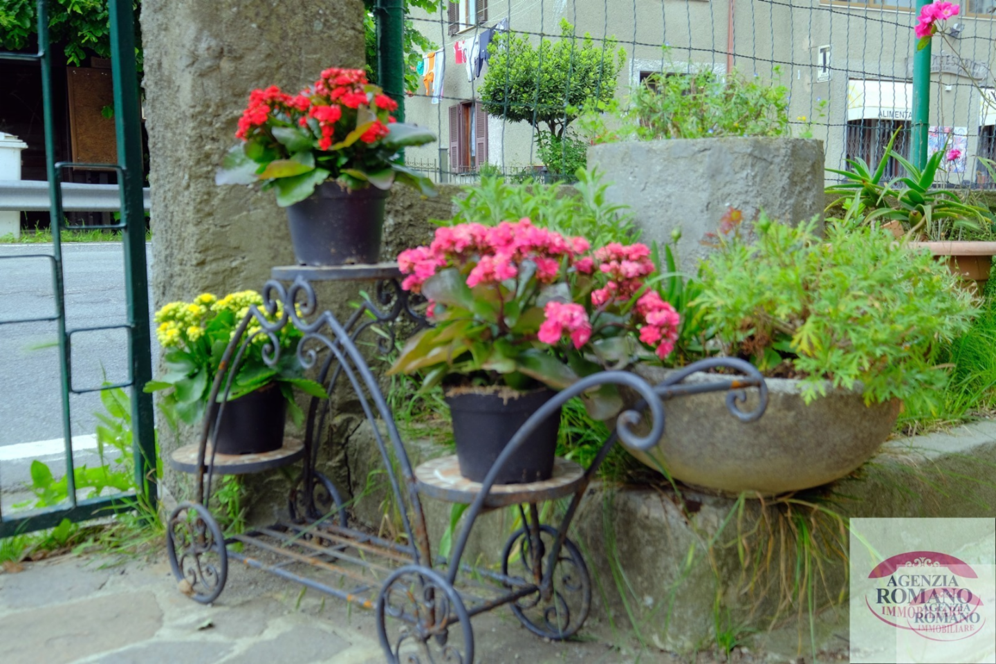 immagine annuncio 9 di 10