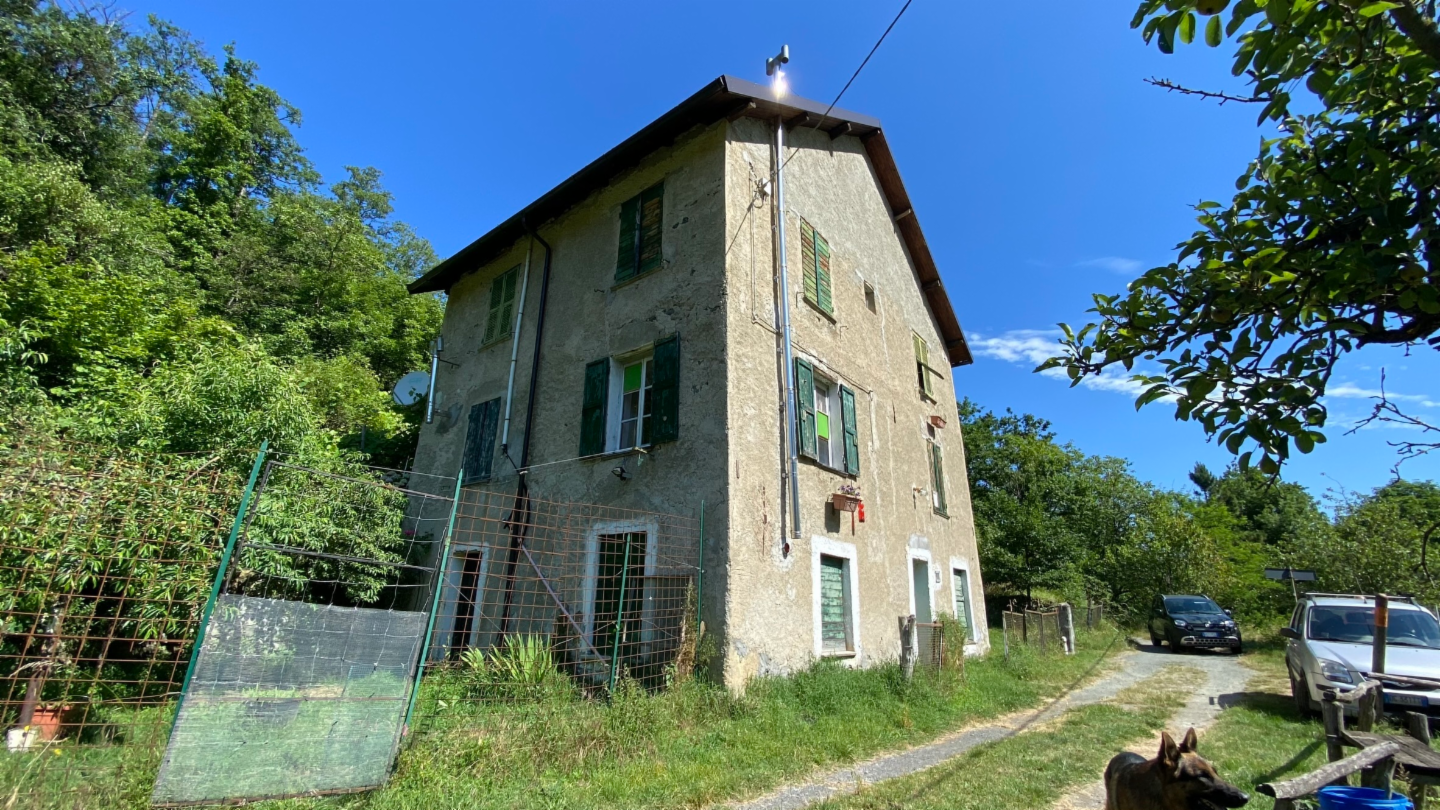 immagine annuncio 1 di 10