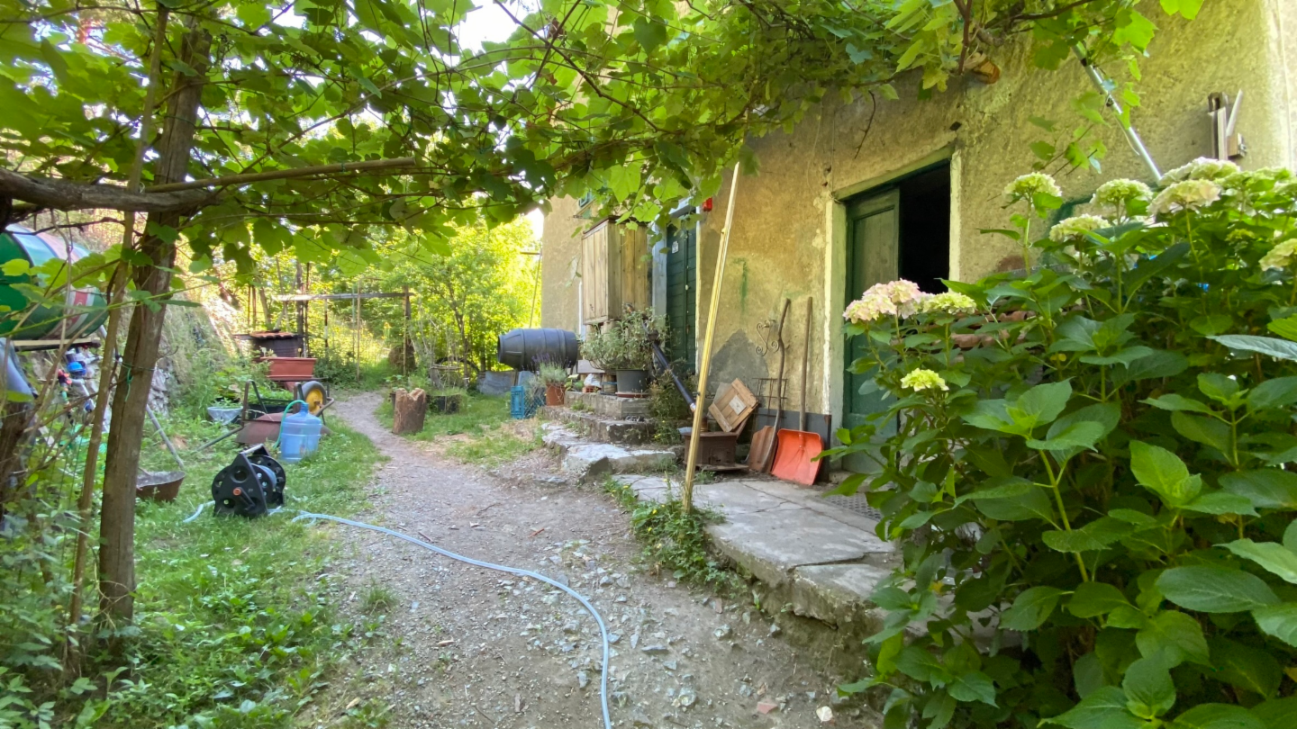 immagine annuncio 4 di 10