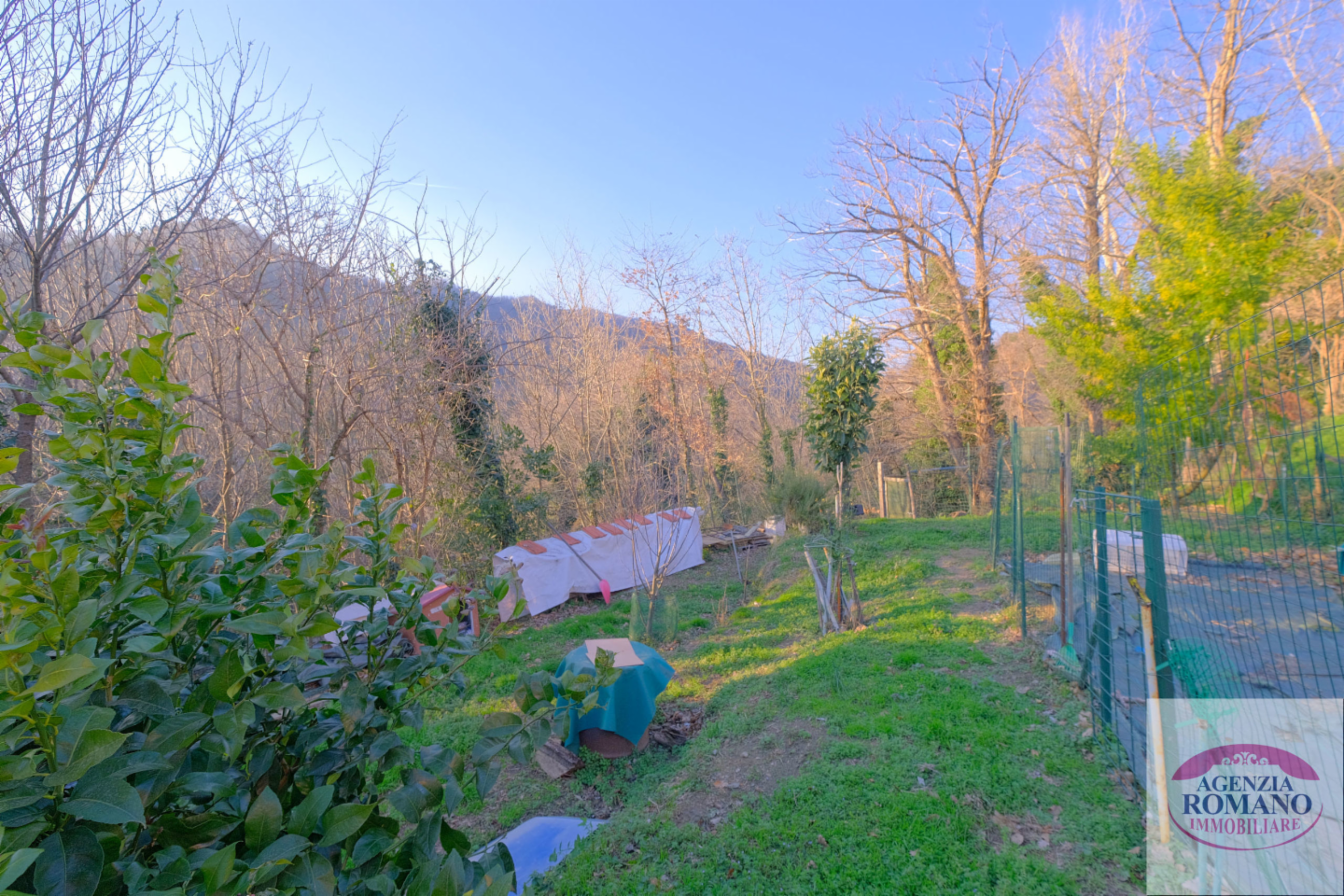 immagine annuncio 9 di 10