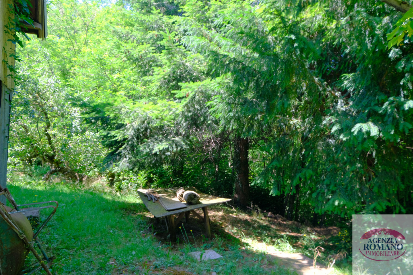 immagine annuncio 5 di 10