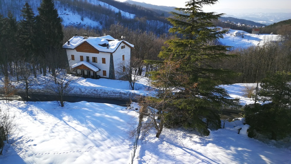 immagine annuncio 2 di 10