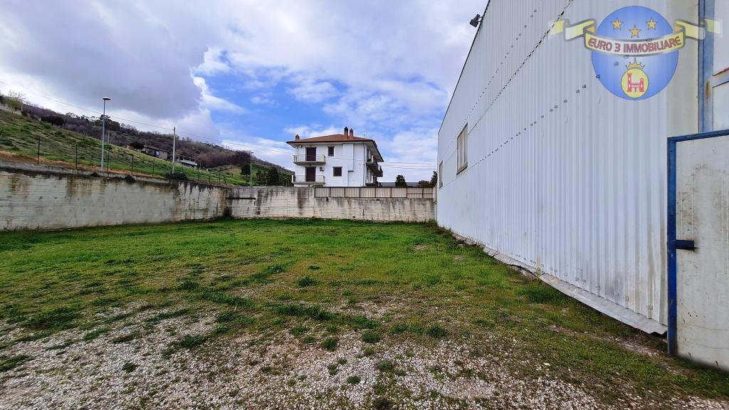 immagine annuncio 1 di 7