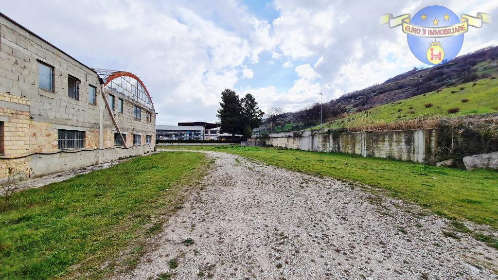 immagine annuncio 6 di 7