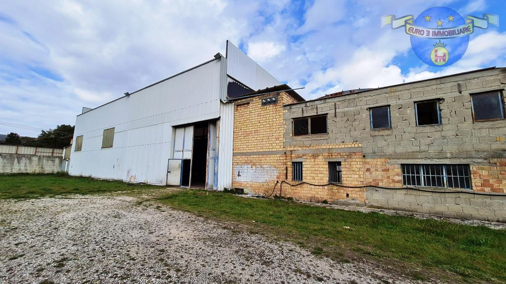 immagine annuncio 3 di 7