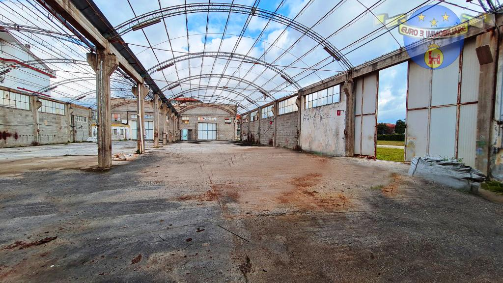 immagine annuncio 5 di 7