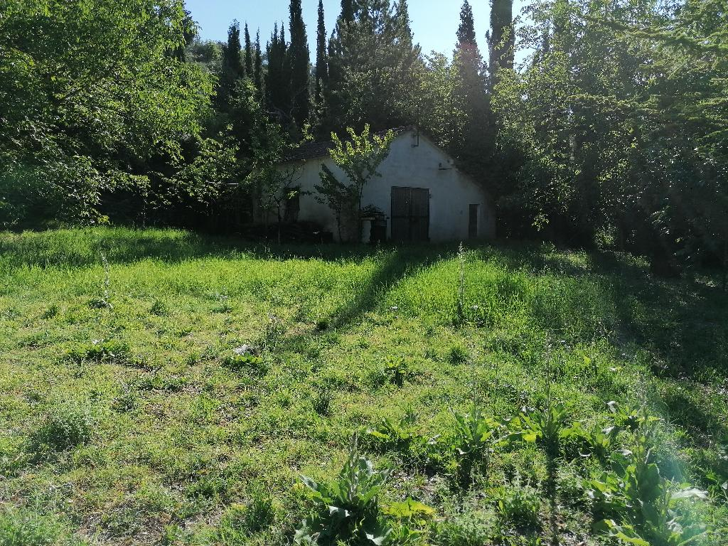 immagine annuncio 5 di 6