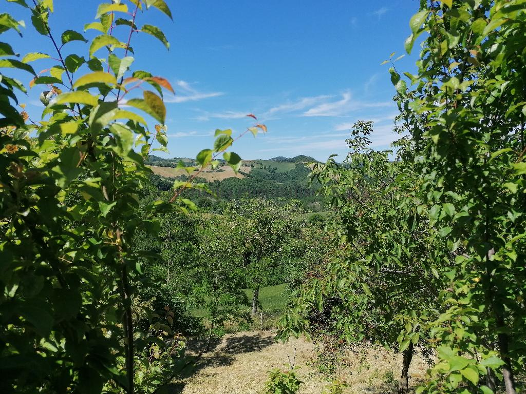 immagine annuncio 7 di 8