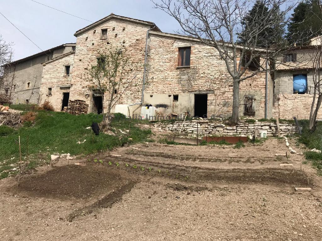 immagine annuncio 6 di 8