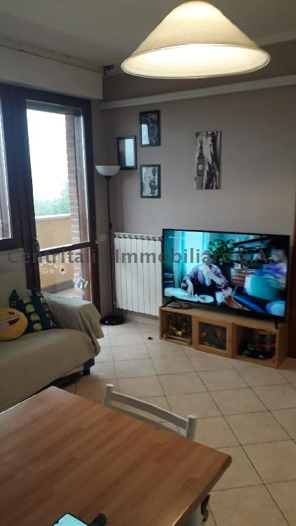 immagine annuncio 2 di 6