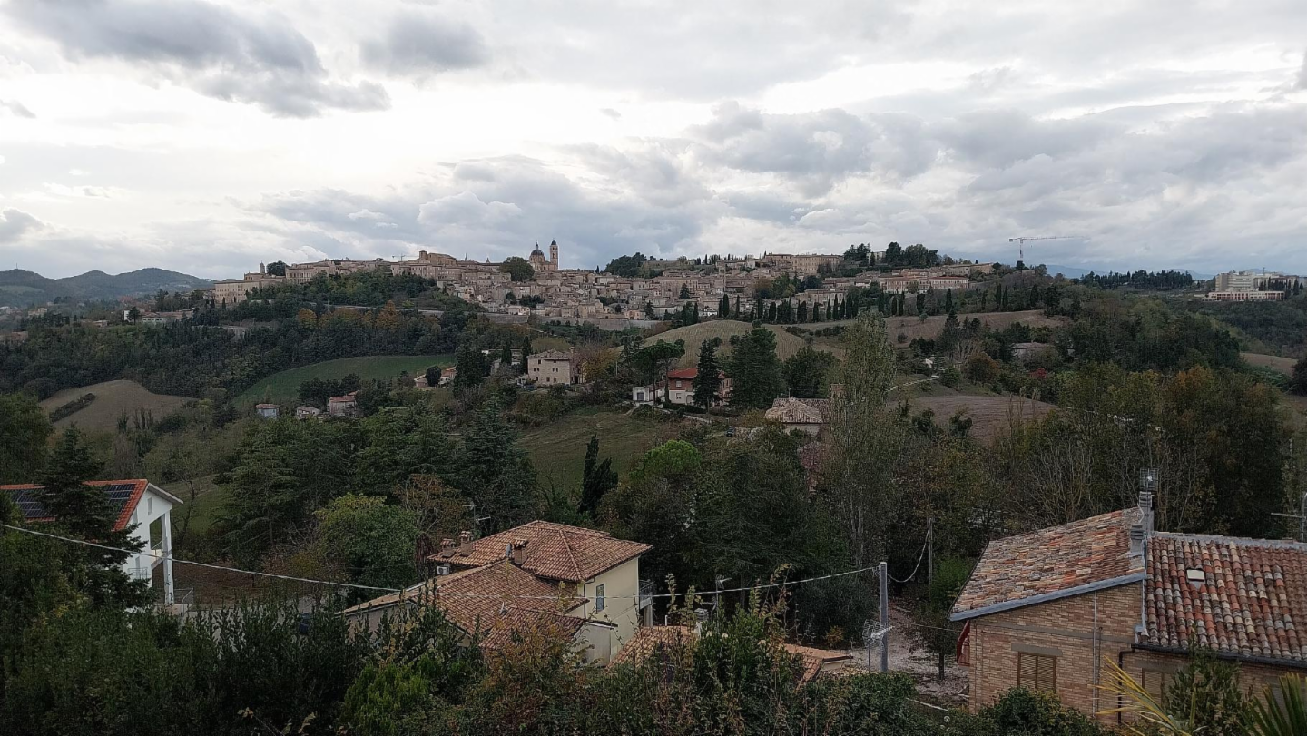 immagine annuncio 6 di 7