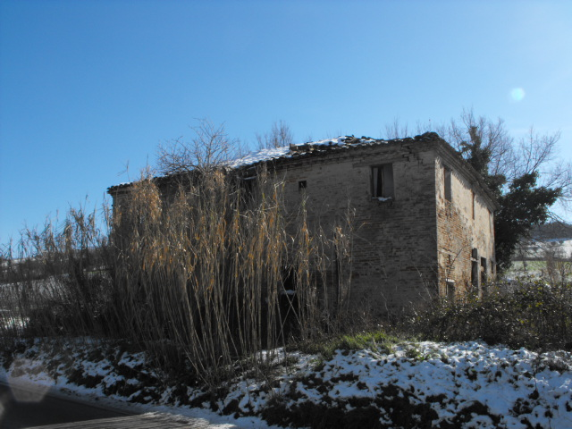 immagine annuncio 3 di 8