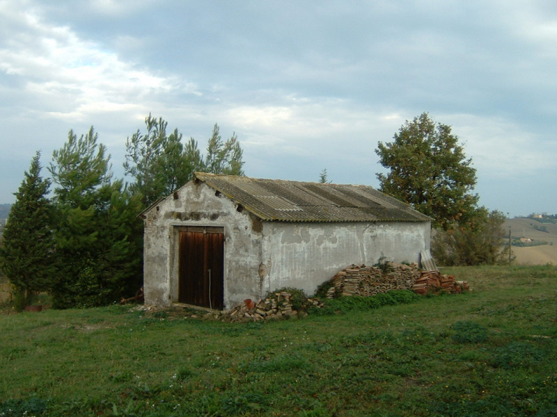 immagine annuncio 6 di 10