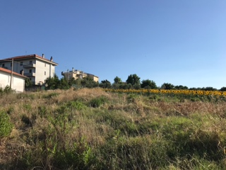 immagine annuncio 6 di 8