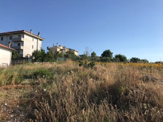 immagine annuncio 4 di 8