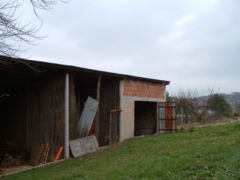 immagine annuncio 3 di 7