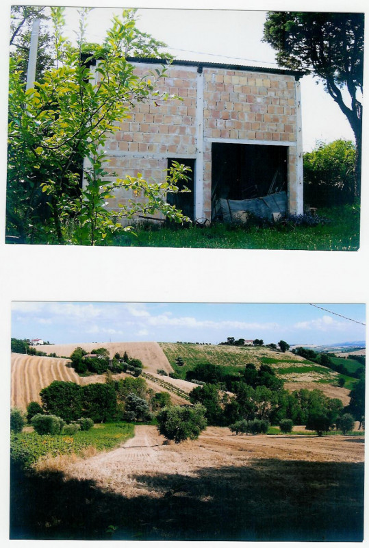 immagine annuncio 3 di 7