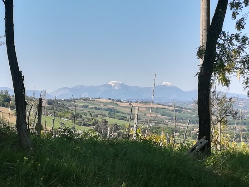 immagine annuncio 5 di 10