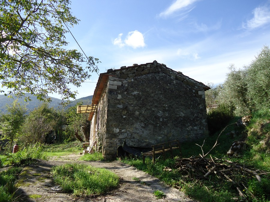 immagine annuncio 4 di 6