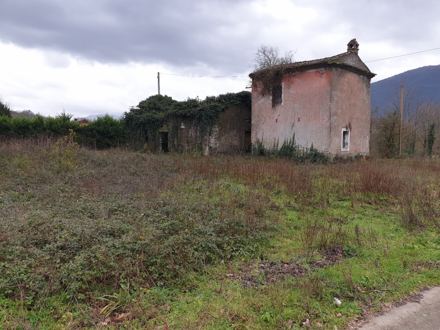 immagine annuncio 2 di 3
