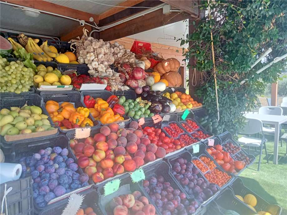 immagine annuncio 6 di 10