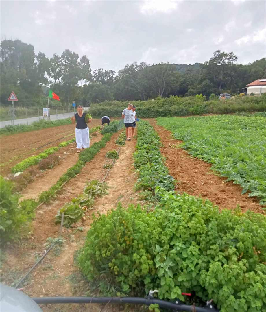 immagine annuncio 8 di 10