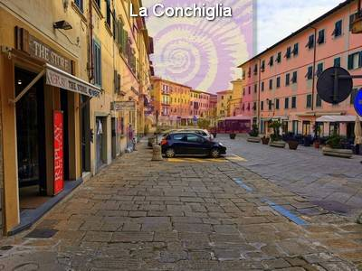 immagine annuncio 1 di 8