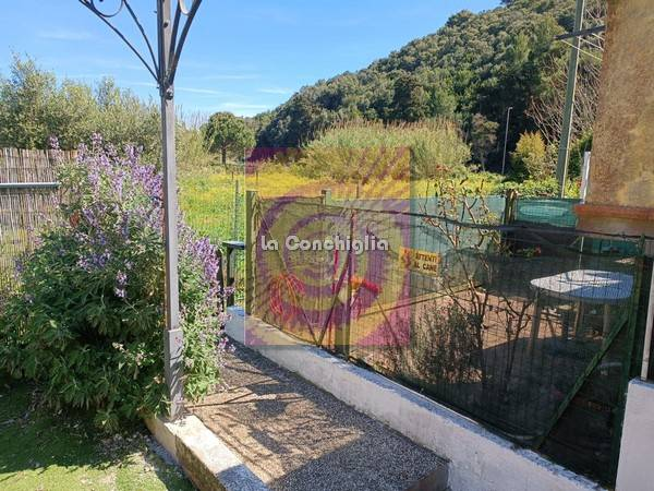 immagine annuncio 2 di 9