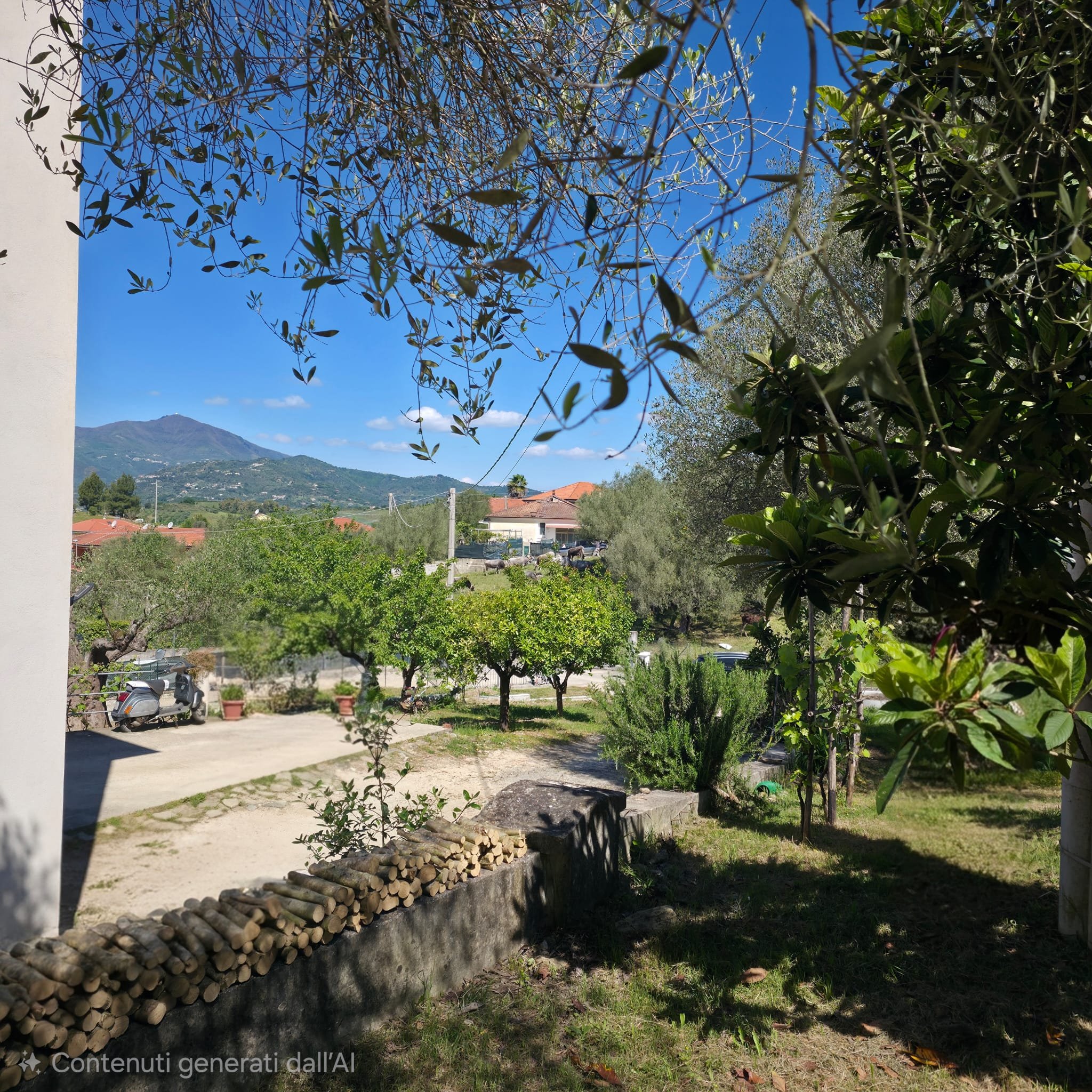 immagine annuncio 3 di 10