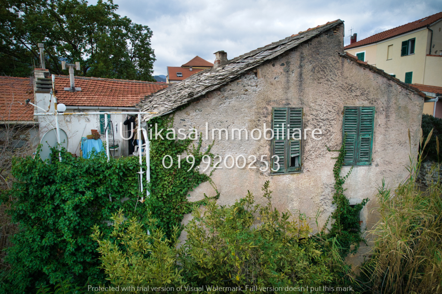 immagine annuncio 1 di 10