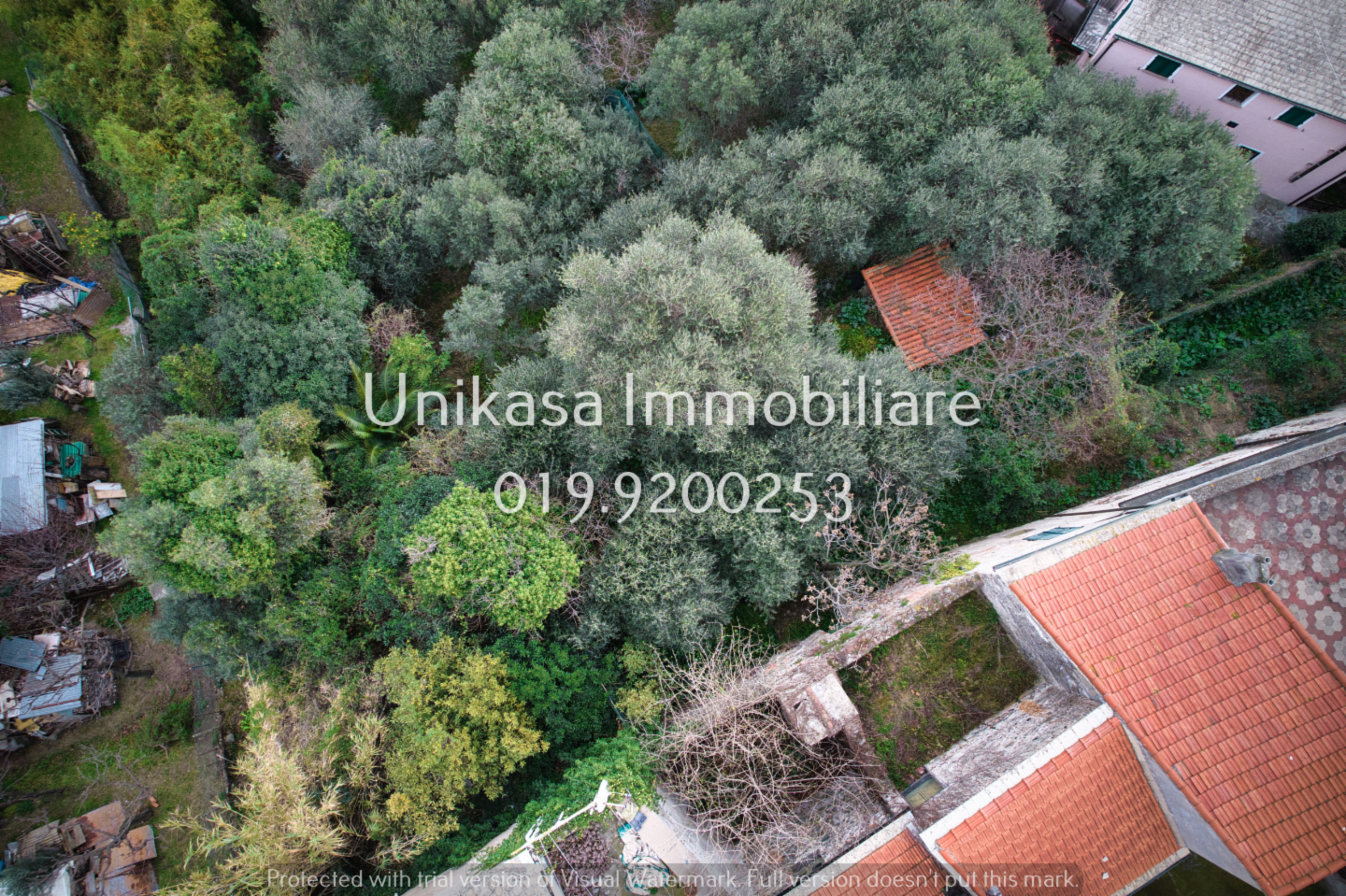 immagine annuncio 7 di 10