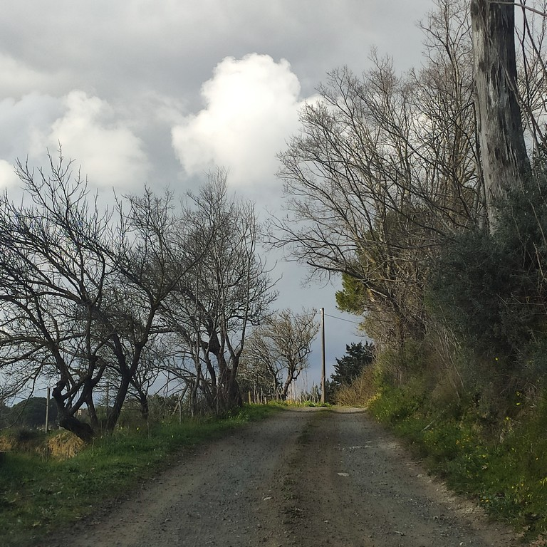 immagine annuncio 6 di 9