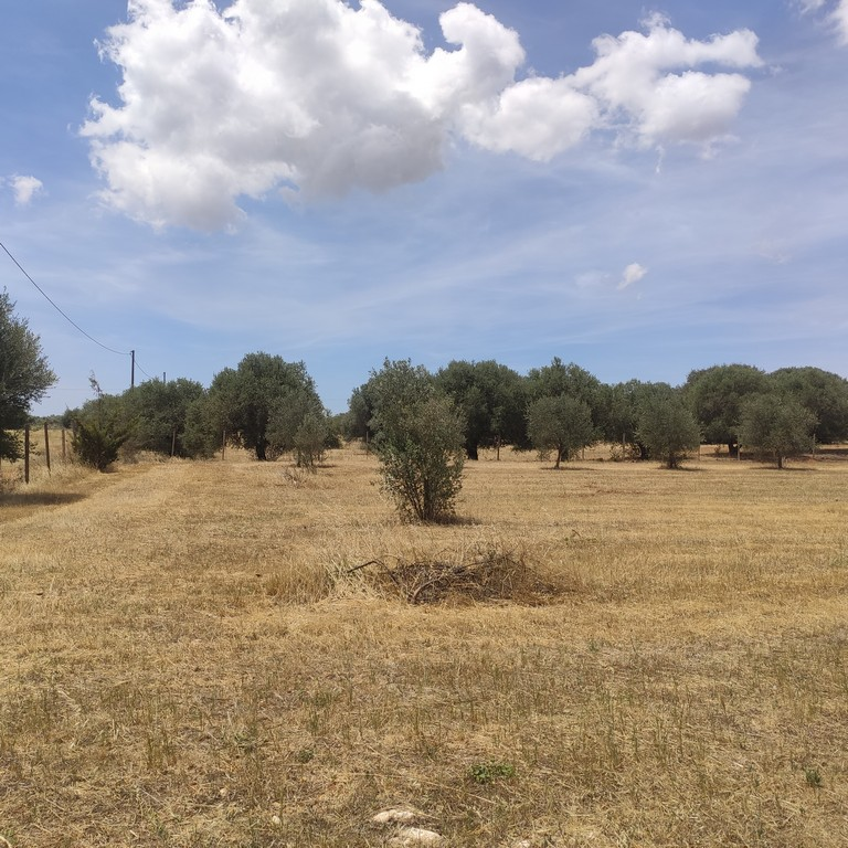 casa indipendente in vendita a Caltagirone in zona Santo Pietro