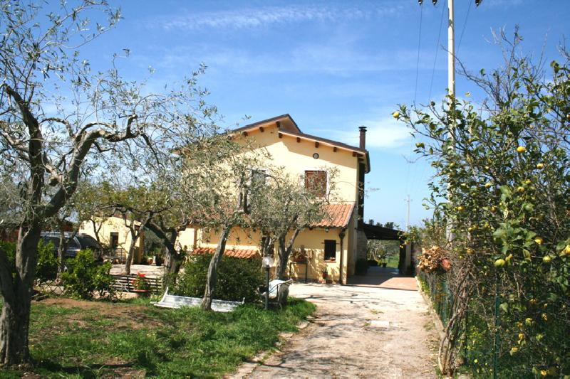 immagine annuncio 2 di 9