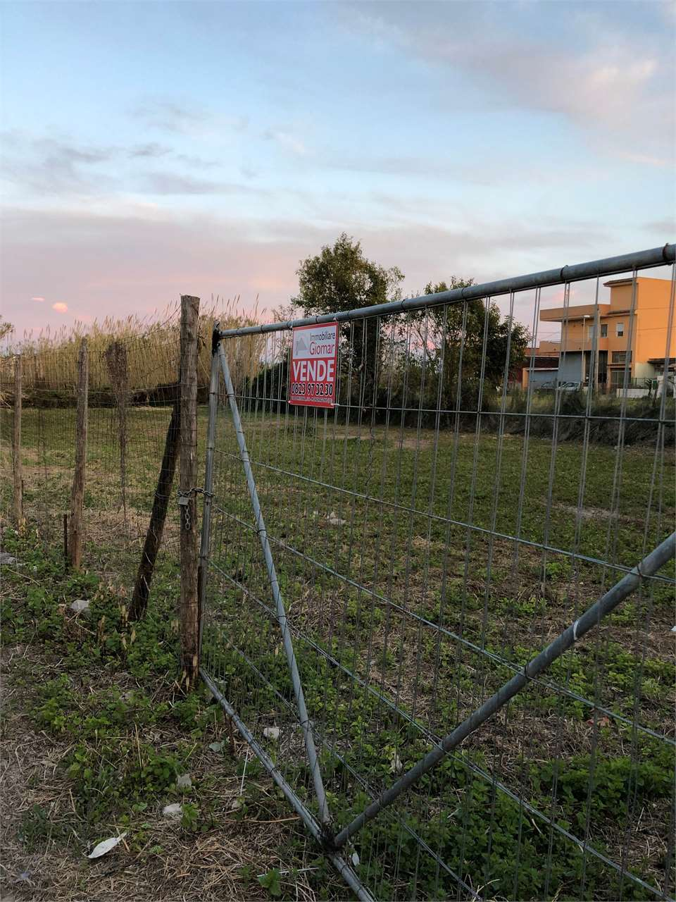 immagine annuncio 1 di 4