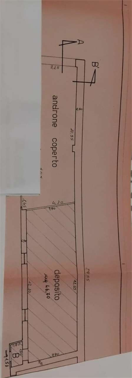 immagine annuncio 3 di 7