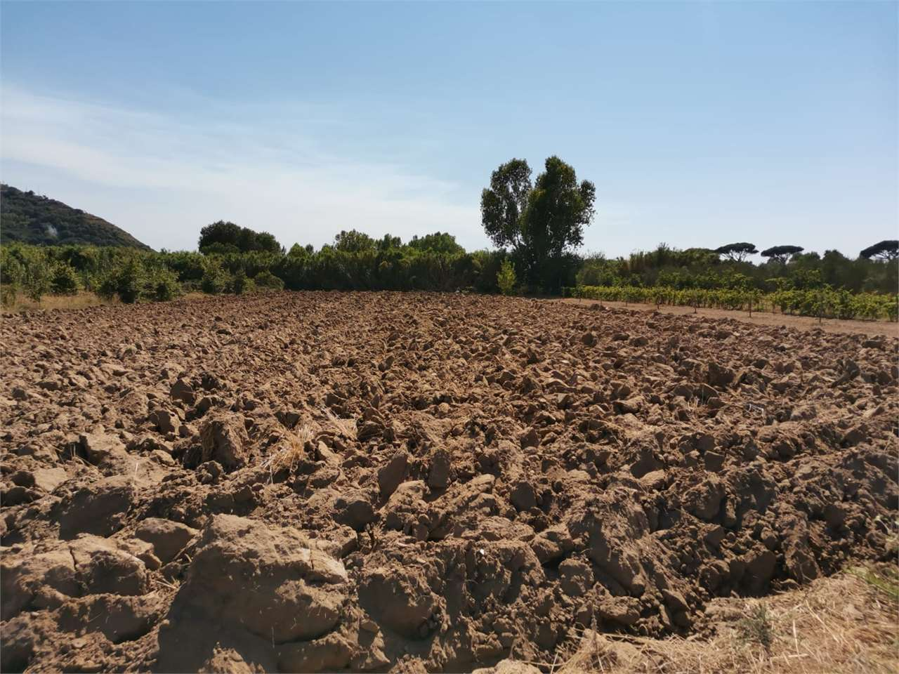 immagine annuncio 1 di 8