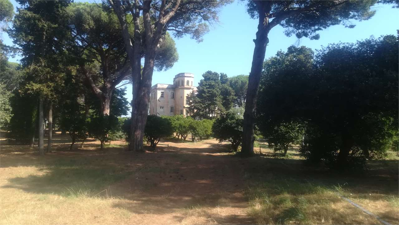 immagine annuncio 1 di 8