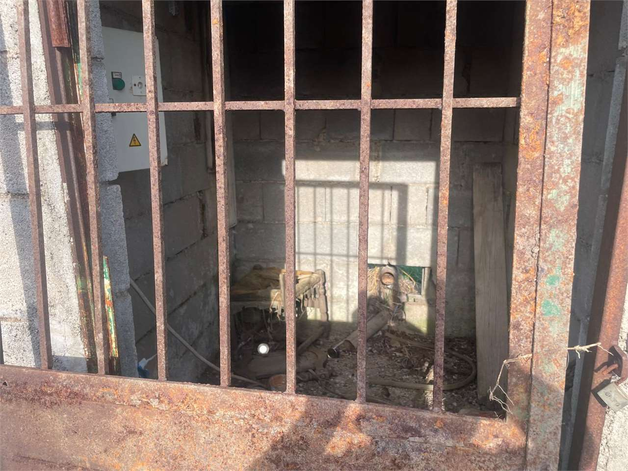 immagine annuncio 2 di 9