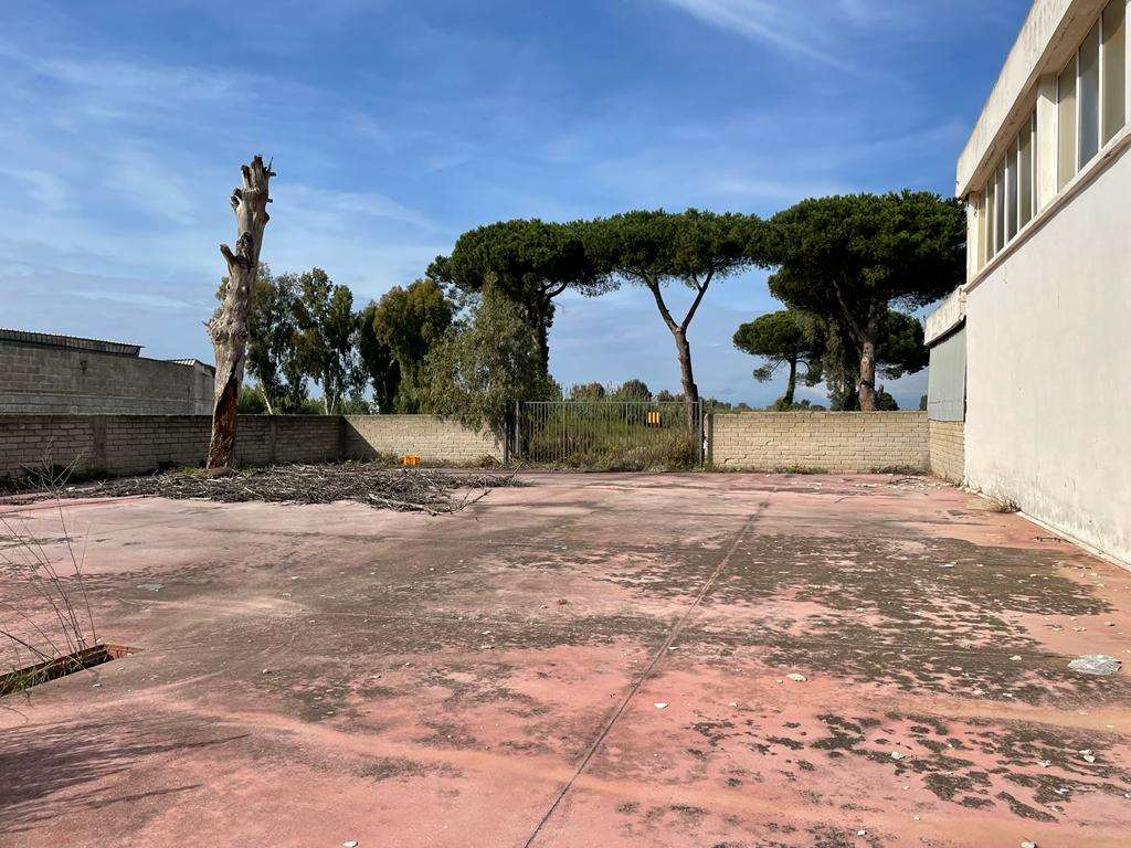 immagine annuncio 1 di 10
