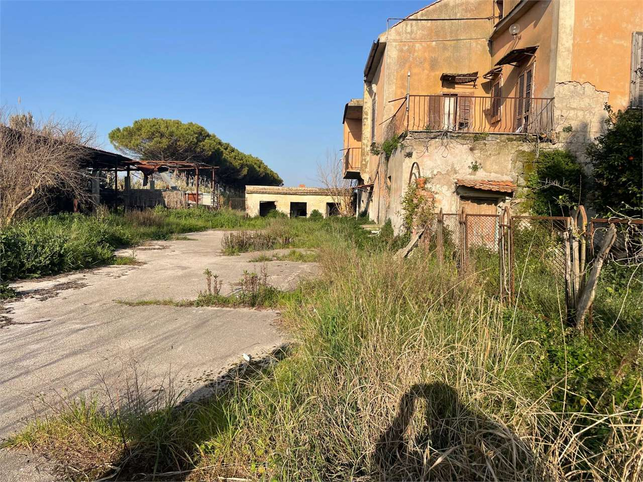 immagine annuncio 1 di 10