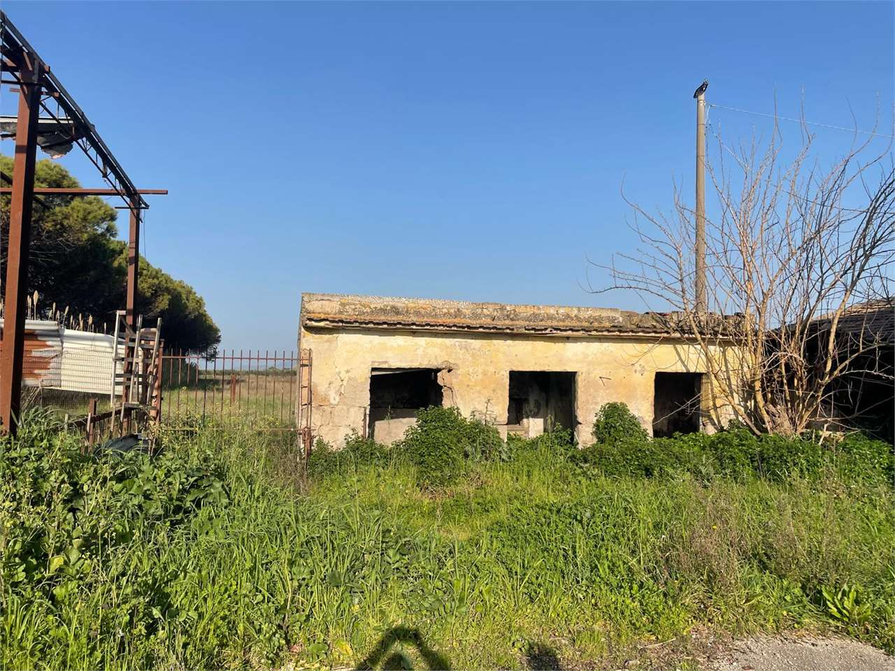 immagine annuncio 4 di 10