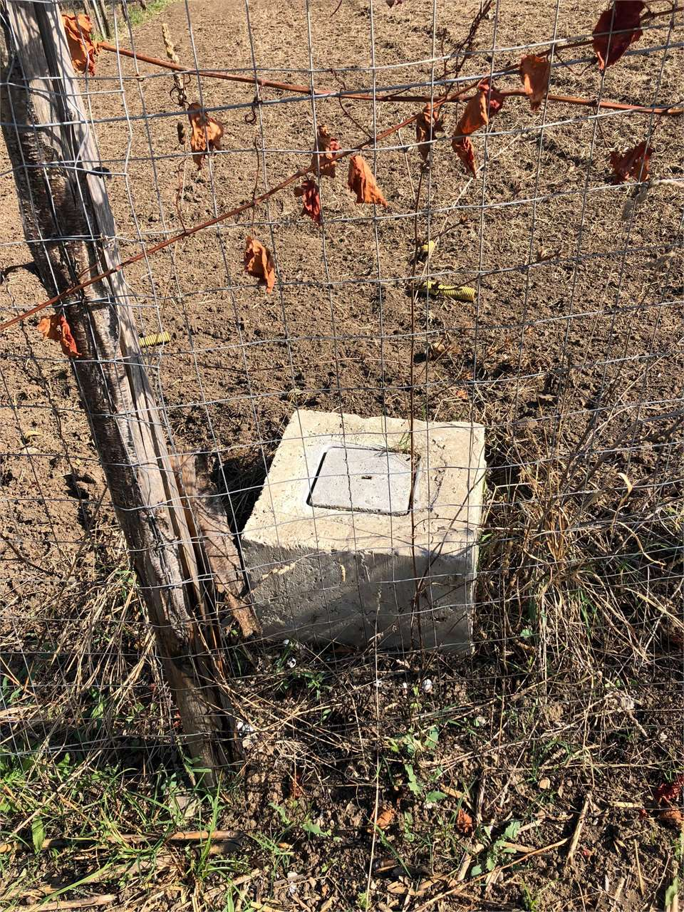 immagine annuncio 3 di 7