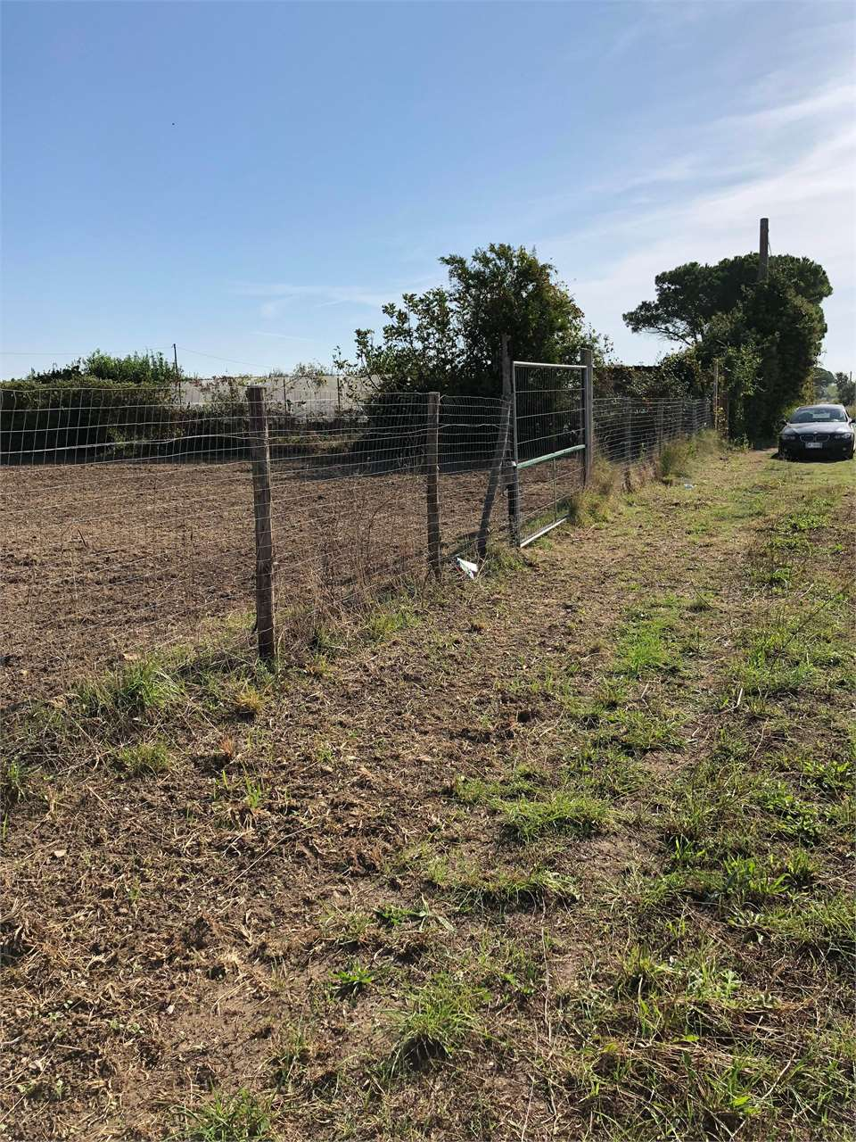 immagine annuncio 5 di 7