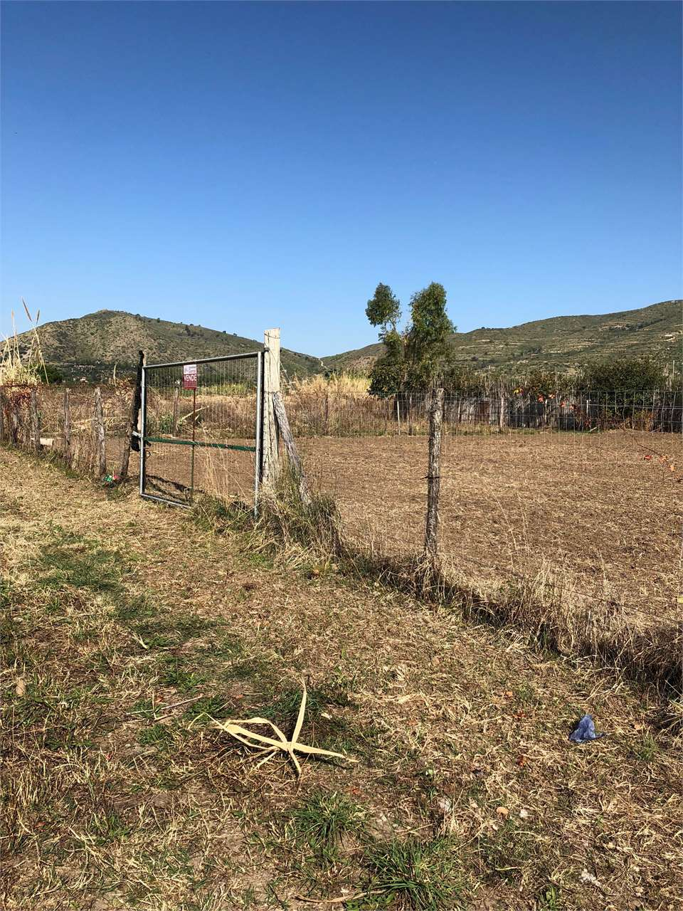 immagine annuncio 4 di 7