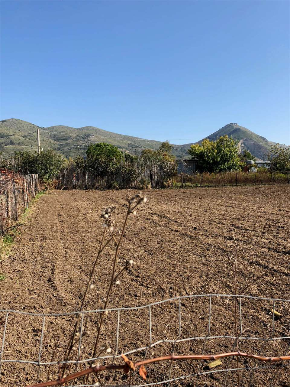 immagine annuncio 6 di 7