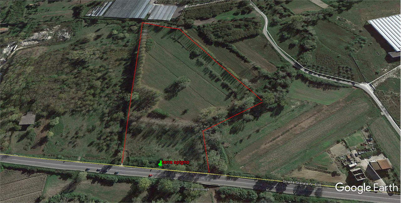 immagine annuncio 1 di 2